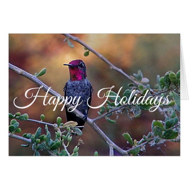 Hummingbird at sunset, Happy Holidays (Front Horizontal)