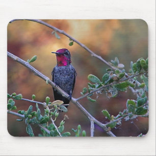 Hummingbird at sunset mouse pad