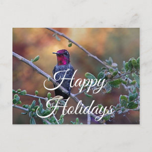 Hummingbird at sunset postcard, Happy Holidays Postcard
