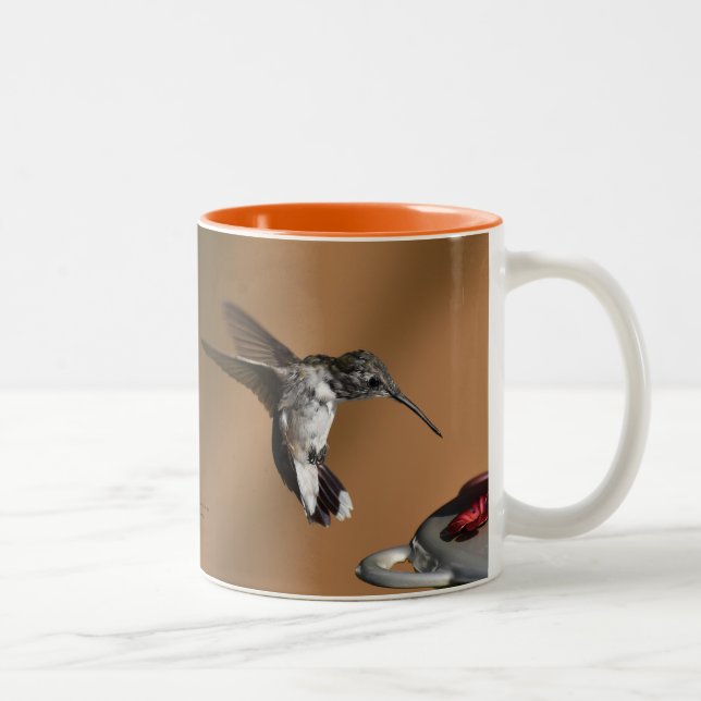 Hummingbird Baby 11 oz Mug (Right)