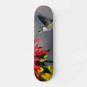 Hummingbird Beauty Skateboard