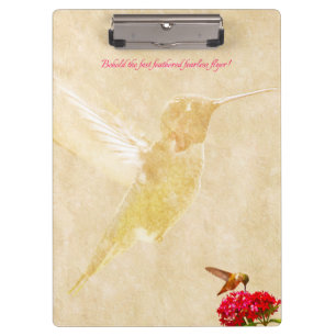 Hummingbird, behold! - Clipboard