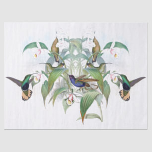 Hummingbird Bird Animal Orchid Floral Tissue Paper
