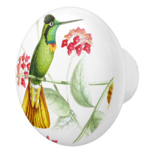 Hummingbird Bird Flower Floral Garden Knob