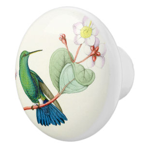 Hummingbird Bird Flower Floral Garden Knob