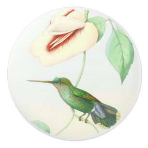 Hummingbird Bird Flower Floral Garden Knob