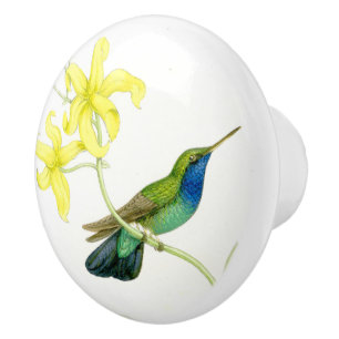Hummingbird Bird Flower Floral Garden Knob
