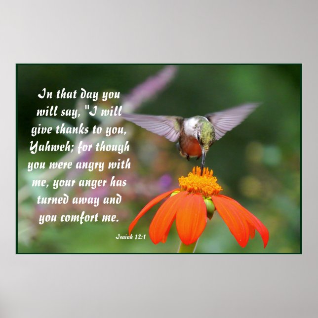 Hummingbird Bird Flower Floral Isaiah 12:2 Poster (Front)