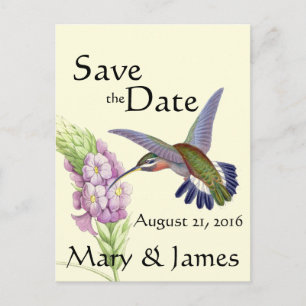 Hummingbird Bird Flower Floral Save the Date Announcement Postcard
