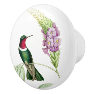 Hummingbird Bird Flowers Floral Botanical Ceramic Knob
