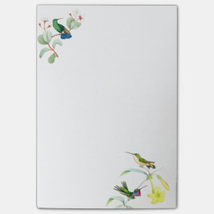 Hummingbird Bird Flowers Floral Post it Notes