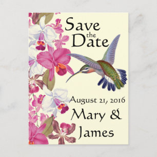 Hummingbird Bird Flowers Orchid Floral Save Date Announcement Postcard