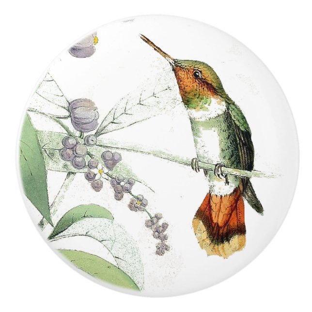 Hummingbird Bird Flowers Wildlife Animal Pull/Knob Ceramic Knob (Front)
