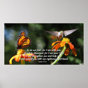 Hummingbird Bird Monarch Butterfly Flower Poster