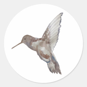 Hummingbird Bird Painting Art Classic Round Sticker