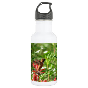Hummingbird  bird red flower 532 ml water bottle