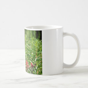 Hummingbird  bird red flower coffee mug