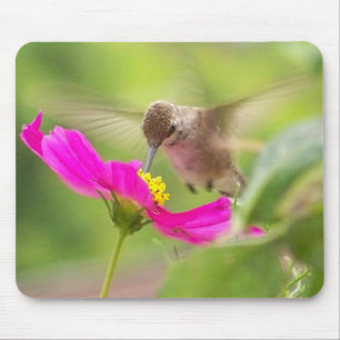Hummingbird Bird Wildlife Animal Floral Mouse Pad