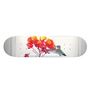 Hummingbird Bird Wildlife Animal Floral Skateboard