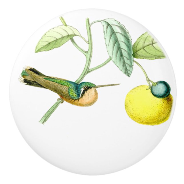 Hummingbird Bird Wildlife Animals Fruit Knob (Front)