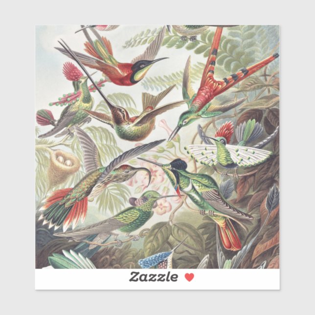 Hummingbird Bird Wildlife Classic Painting (Sheet)