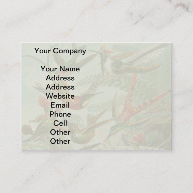 hummingbird bird wildlife classic painting business card (Front)
