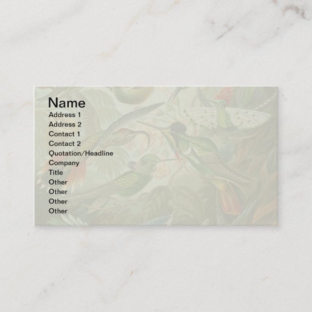 hummingbird bird wildlife classic painting business card (Front)