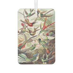 Hummingbird Bird Wildlife Classic Painting Car Air Freshener