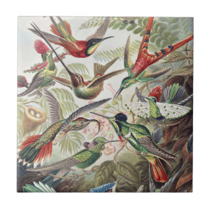 Hummingbird Bird Wildlife Classic Painting Ceramic Tile