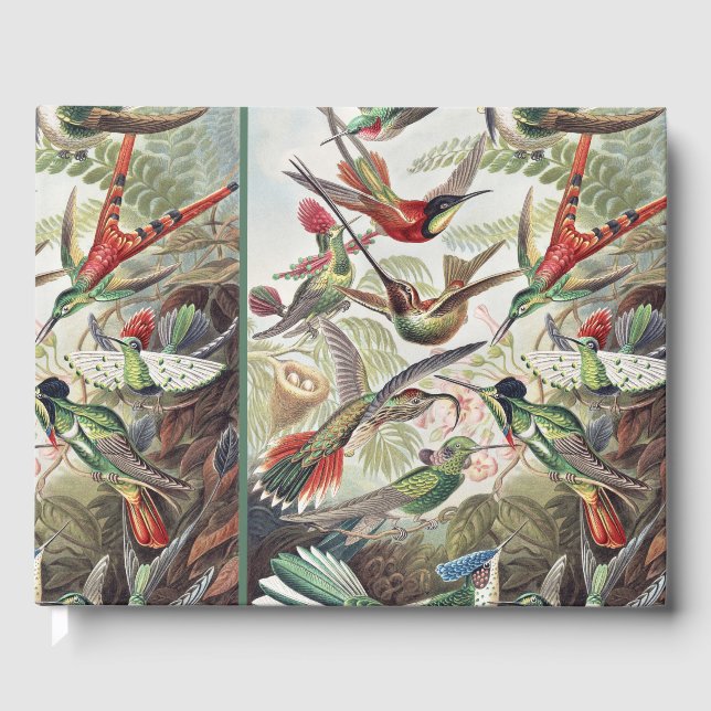Hummingbird Bird Wildlife Classic Painting Guest Book (Front)