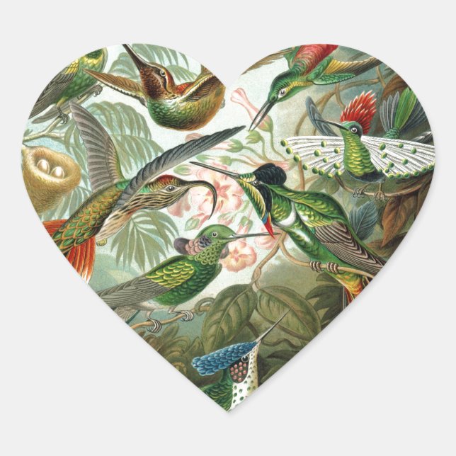 hummingbird bird wildlife classic painting heart sticker (Front)