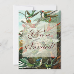hummingbird bird wildlife classic painting invitation