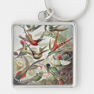 Hummingbird Bird Wildlife Classic Painting Key Ring