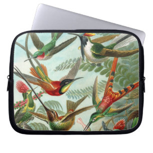 hummingbird bird wildlife classic painting laptop sleeve