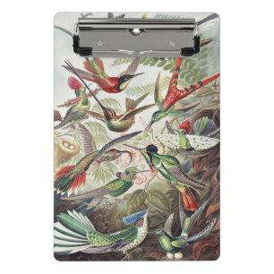 Hummingbird Bird Wildlife Classic Painting Mini Clipboard