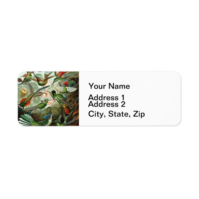 hummingbird bird wildlife classic painting return address label (Front)