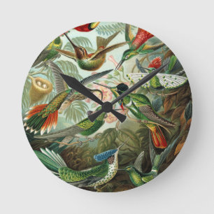 hummingbird bird wildlife classic painting round clock
