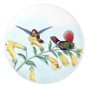 Hummingbird Bird Wildlife Flower Animal Pull/Knob Ceramic Knob