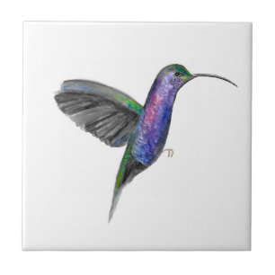 Hummingbird Bird Wildlife Watercolor Colourful Ceramic Tile