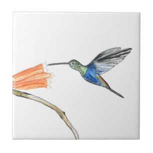 Hummingbird Bird Wildlife Watercolor Colourful Ceramic Tile