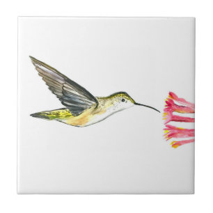 Hummingbird Bird Wildlife Watercolor Colourful Ceramic Tile