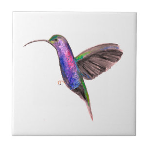 Hummingbird Bird Wildlife Watercolor Colourful Ceramic Tile