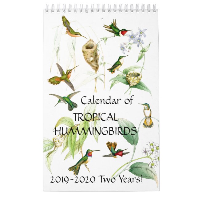 Hummingbird Birds Flower Animal 2019 2020 Calendar (Cover)