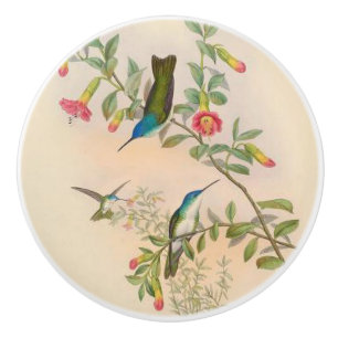 Hummingbird Birds Flower Floral Garden Knob