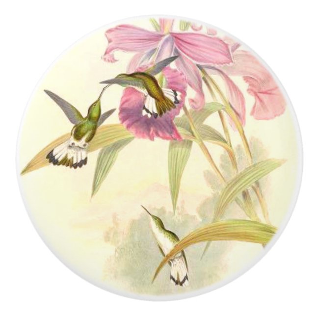 Hummingbird Birds Flower Floral Garden Knob (Front)