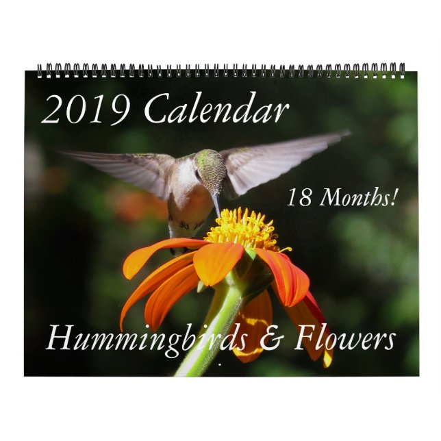 Hummingbird Birds & Flowers Floral 2019 Calendar (Cover)