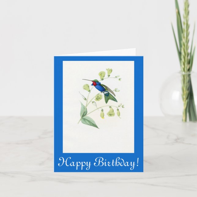Hummingbird Birds Flowers Floral Wildlife Animals Card (Front)