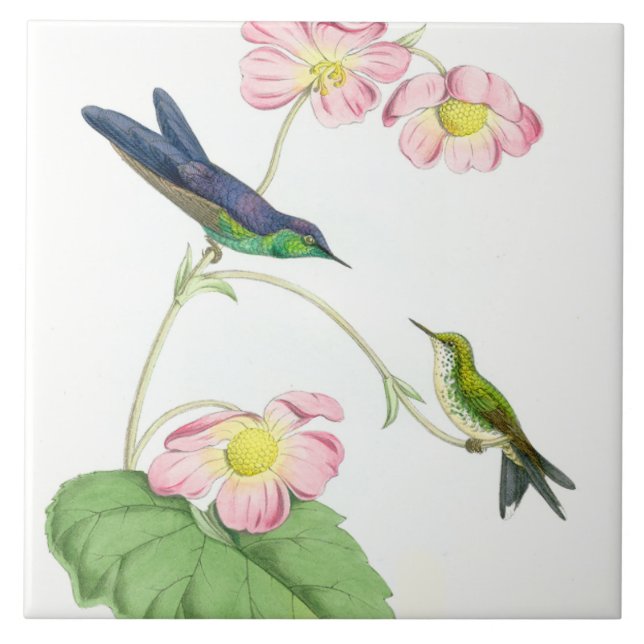 Hummingbird Birds Flowers Floral Wildlife Animals Ceramic Tile (Front)