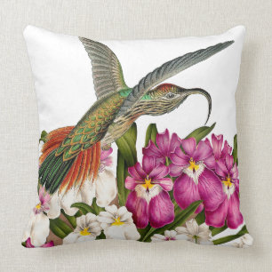 Hummingbird Birds Flowers Floral Wildlife Animals Cushion