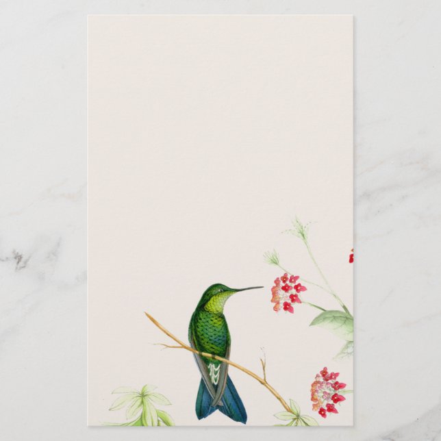 Hummingbird Birds Flowers Floral Wildlife Animals Stationery (Front)